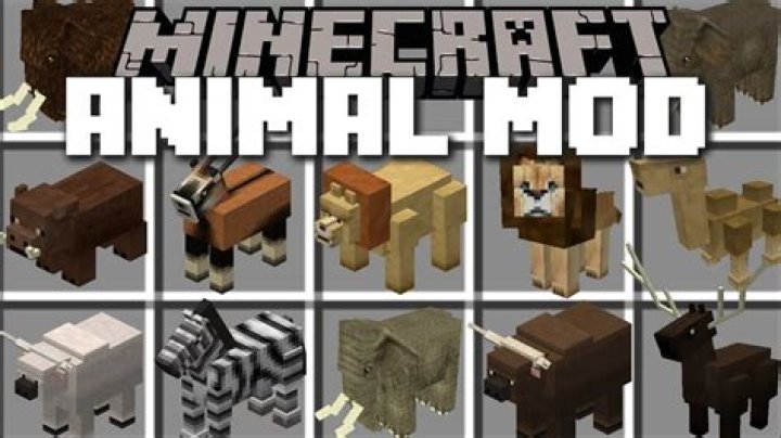 How do animals spawn in minecraft