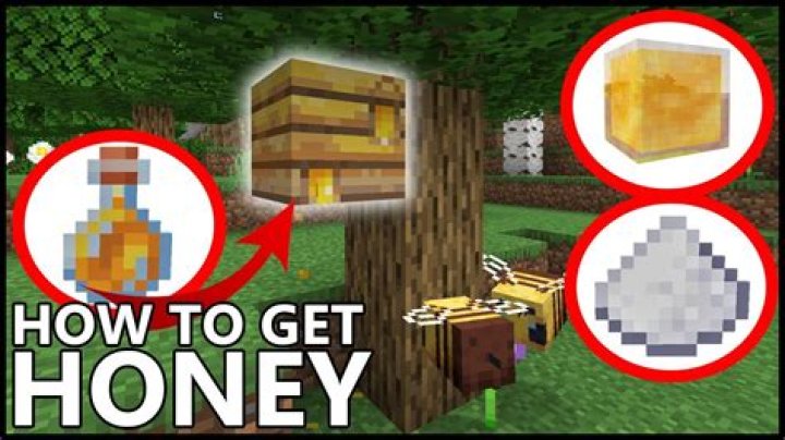 How do i get honey in minecraft