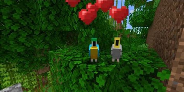 How do you breed birds in minecraft