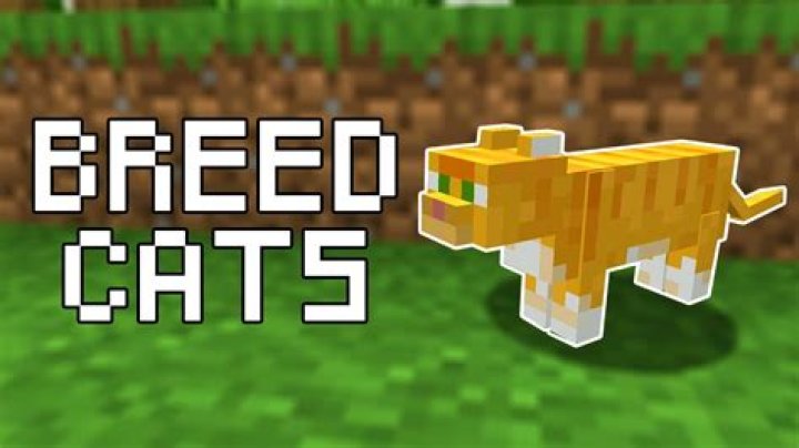 How do you breed cats in minecraft