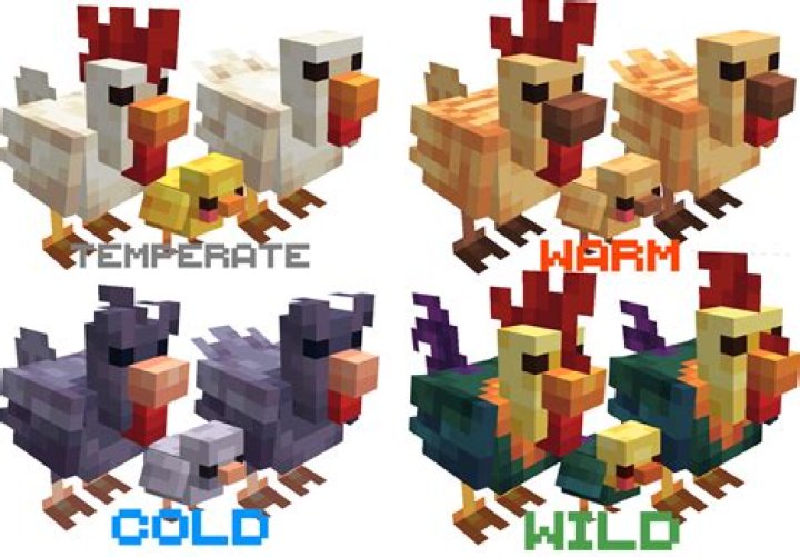 How do you breed chickens in minecraft