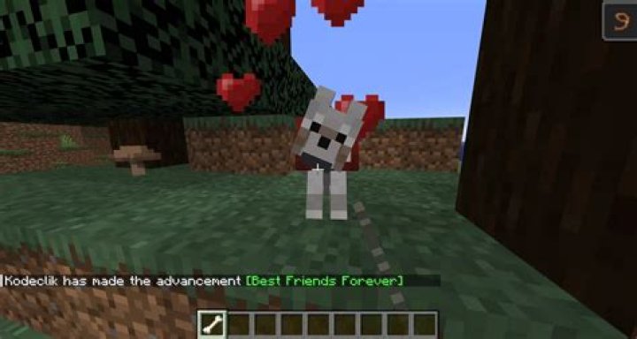 How do you breed dogs in minecraft