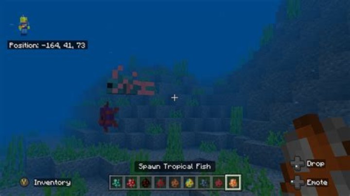 How do you breed fish in minecraft