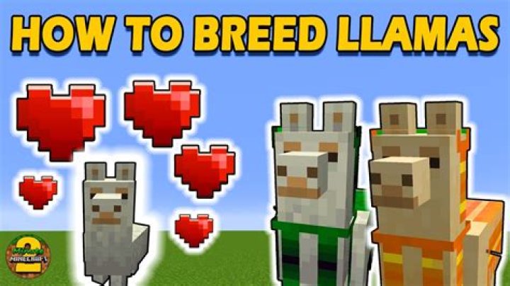 How do you breed llamas in minecraft