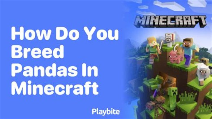 How do you breed pandas in minecraft