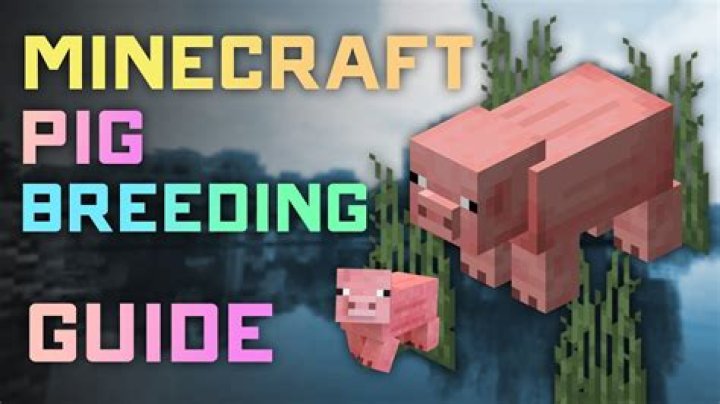 How do you breed pigs in minecraft
