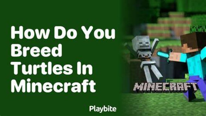 How do you breed turtles in minecraft