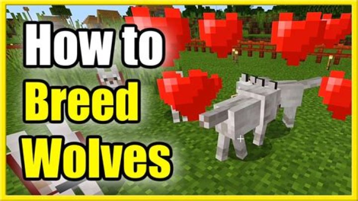 How do you breed wolves in minecraft