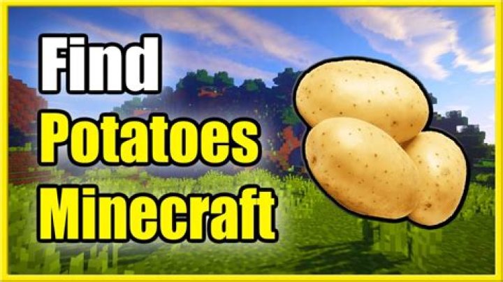 How do you get potatoes in minecraft