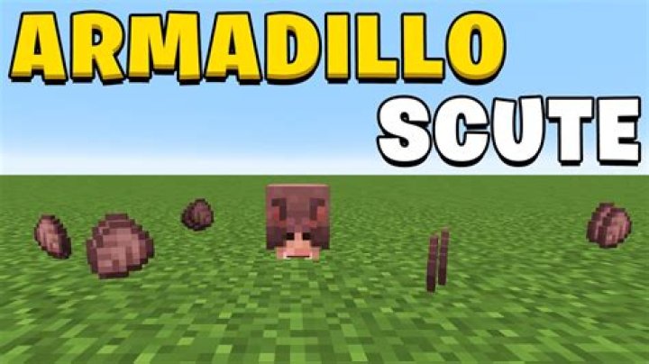 How do you get scutes in minecraft