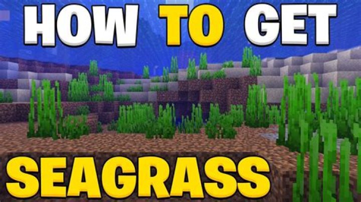 How do you get seagrass in minecraft