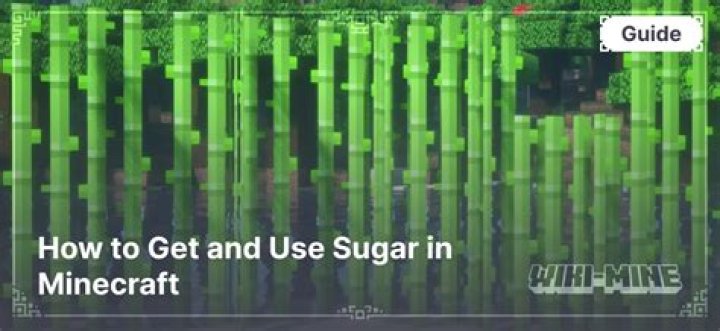 How do you get sugar in minecraft