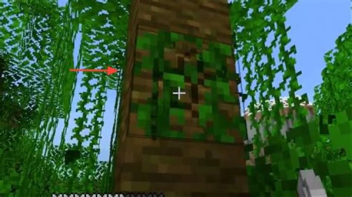 How do you get vines in minecraft
