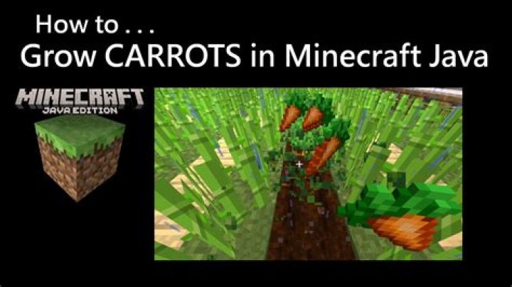 How do you grow carrots in minecraft