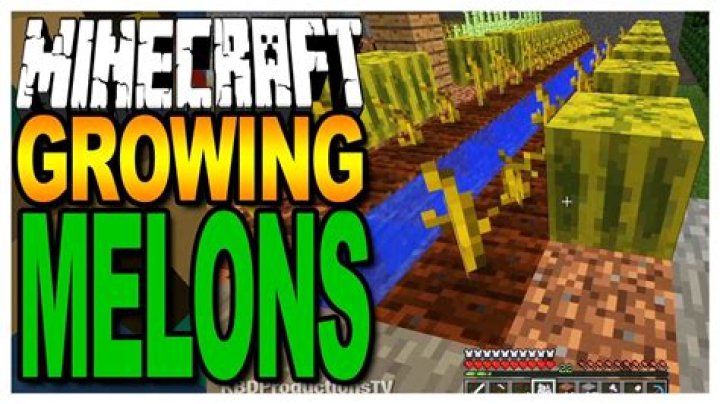 How do you grow melons in minecraft