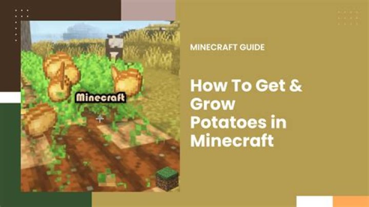 How do you grow potatoes in minecraft