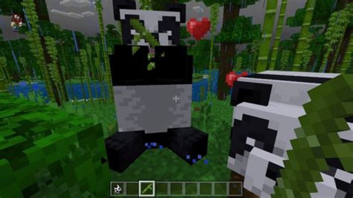 How do you mate pandas in minecraft