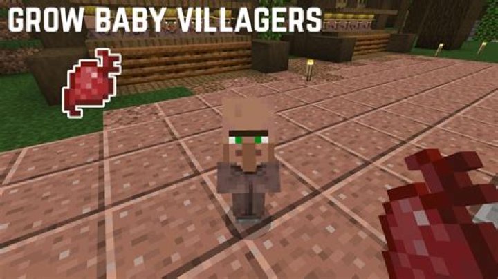How do you move villagers in minecraft