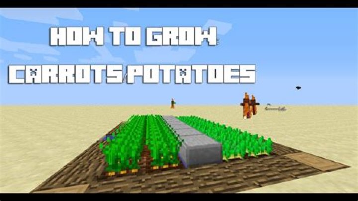 How do you plant carrots in minecraft