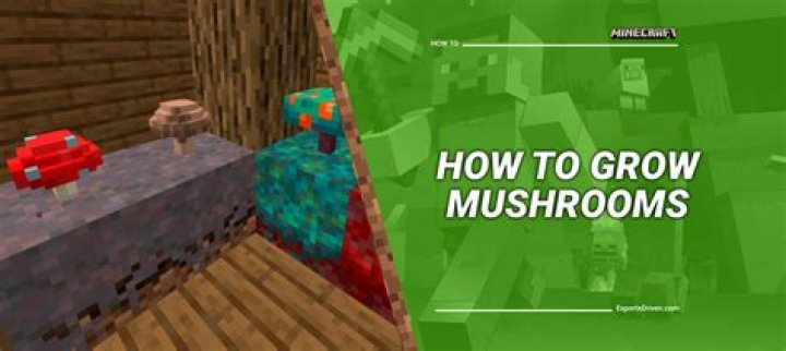 How do you plant mushrooms in minecraft