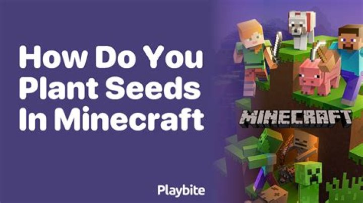 How do you plant seeds in minecraft