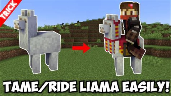 How do you ride llamas in minecraft