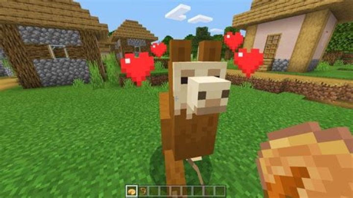 How do you tame llamas in minecraft