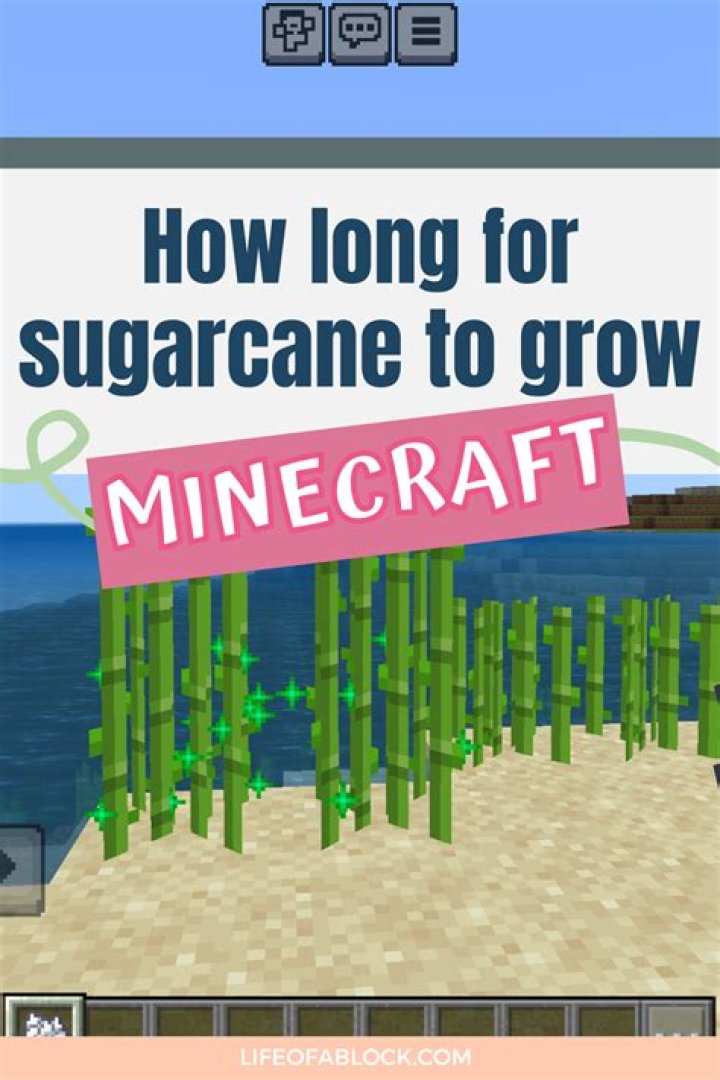 How high does sugarcane grow minecraft