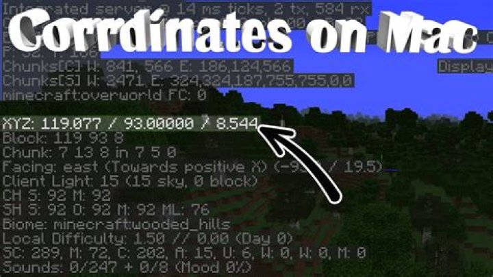 How to activate coordinates in minecraft realms