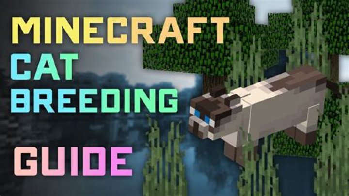 How to breed cats in minecraft 1.14