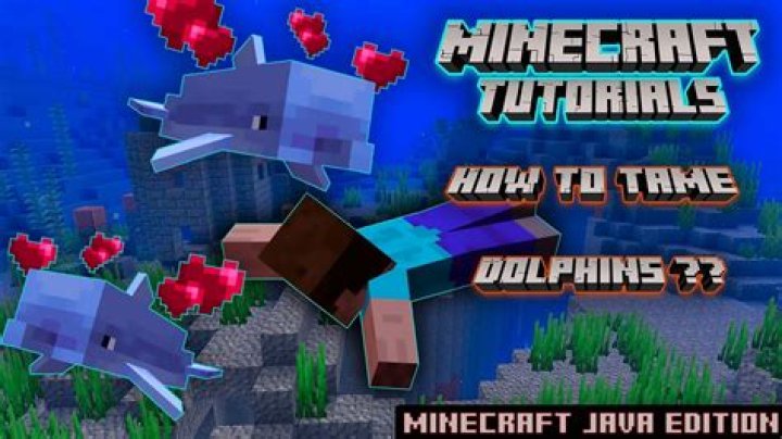 How to breed dolphins in minecraft 2021