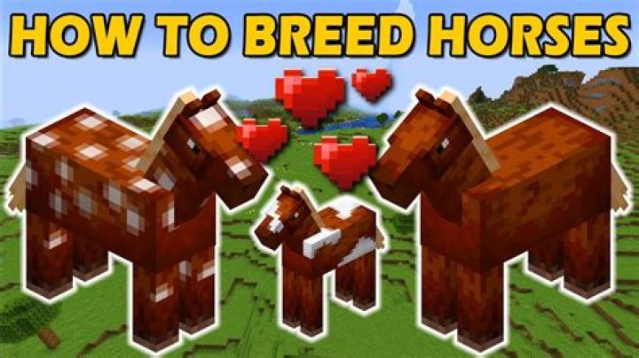 How to breed horses in minecraft 1.13