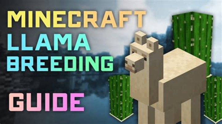 How to breed lamas in minecraft