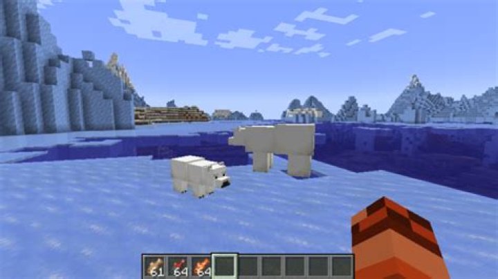 How to breed polar bears in minecraft