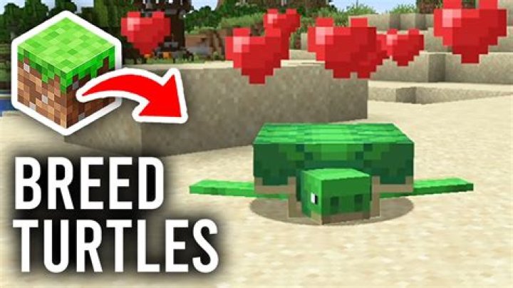 How to breed turtles minecraft 1.14