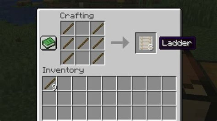 How to build a ladder in minecraft