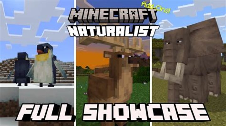 How to capture animals in minecraft