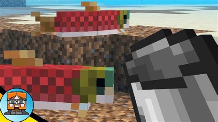 How to catch a fish in minecraft