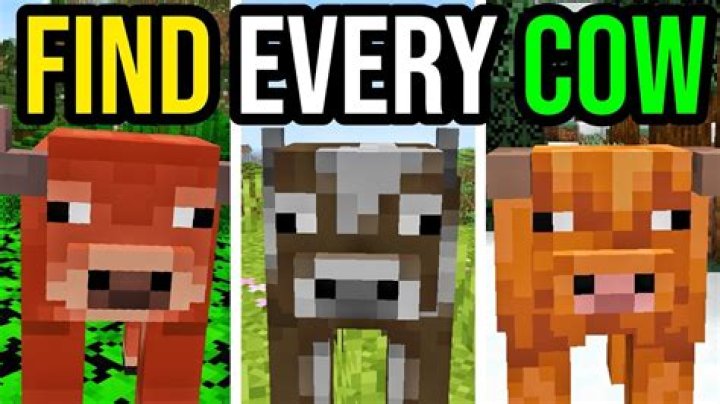 How to catch cows in minecraft