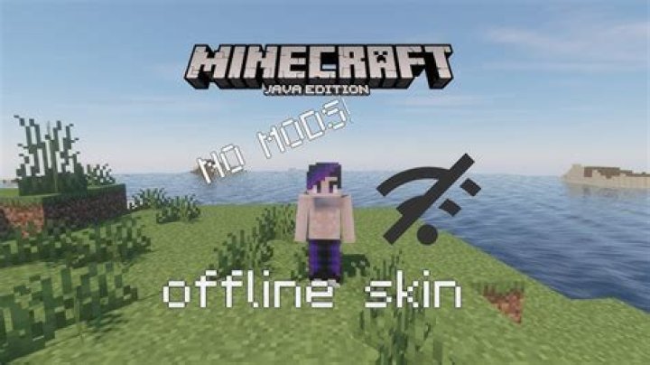 How to change minecraft skin offline