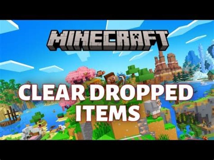 How to clear dropped items in minecraft