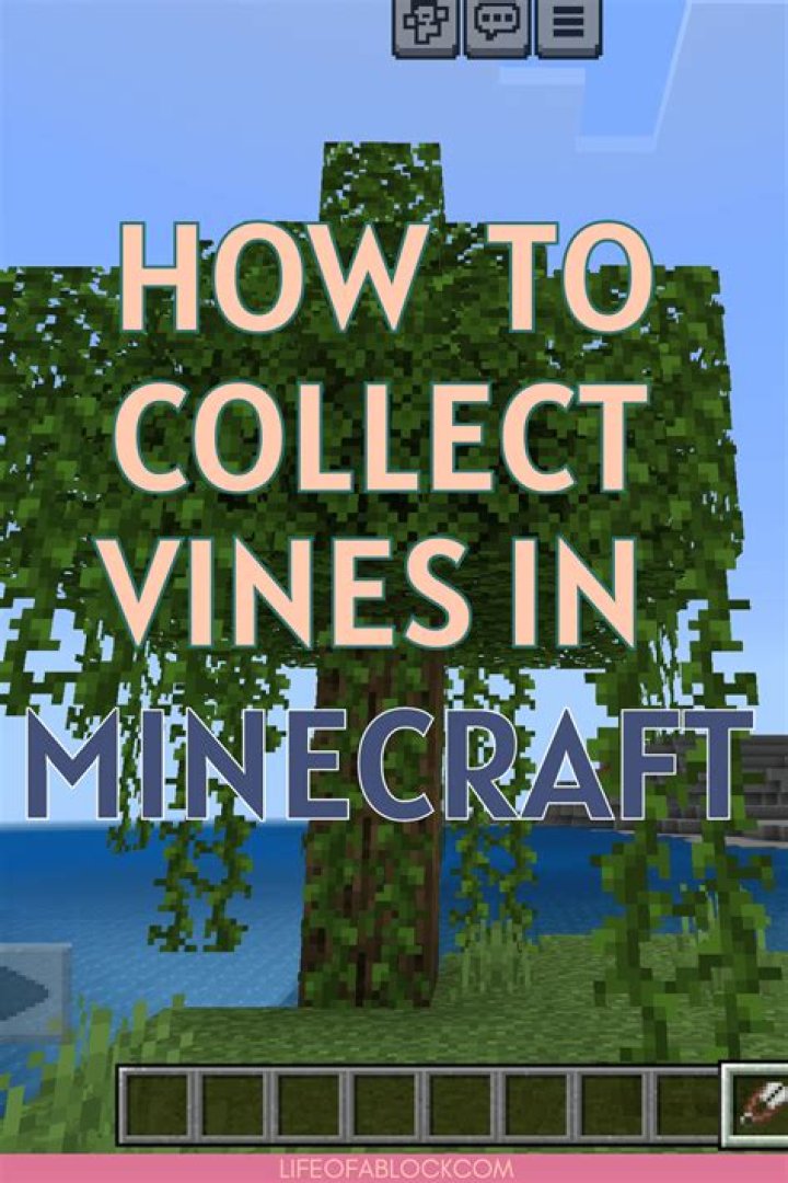 How to collect cave vines in minecraft