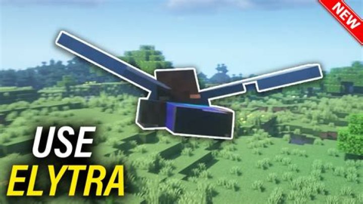 How to customize elytra in minecraft