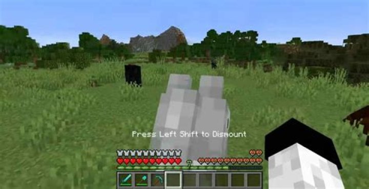 How to dismount a horse in minecraft