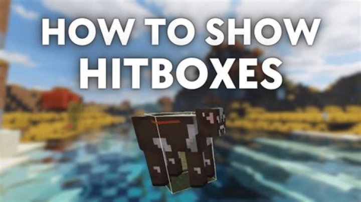 How to enable hitboxes in minecraft