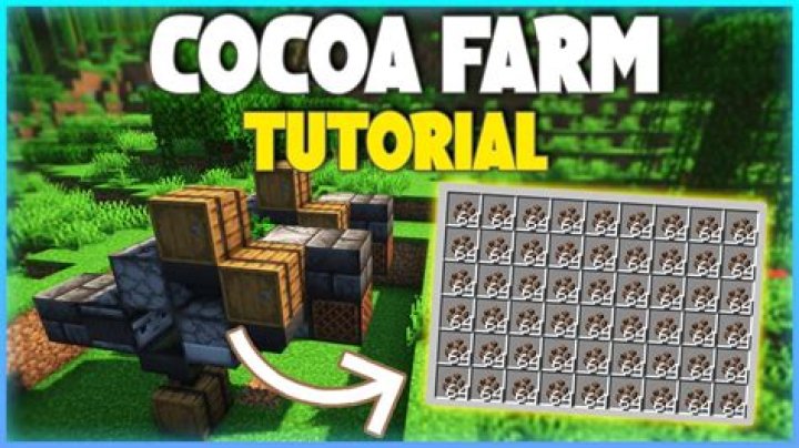 How to farm cocoa beans minecraft