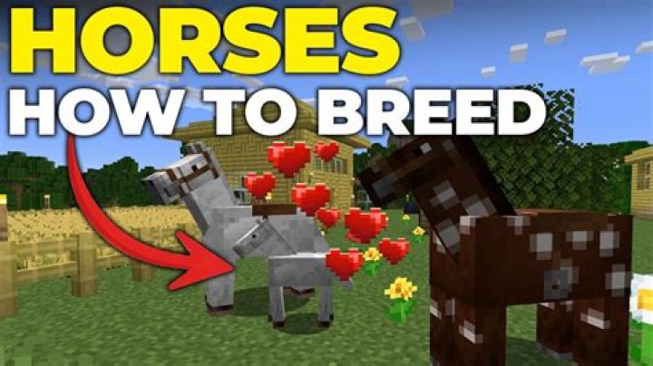 How to feed a minecraft horse