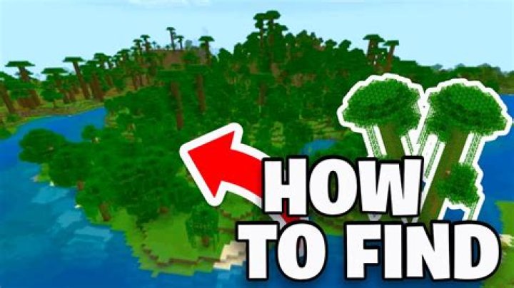 How to find a jungle in minecraft