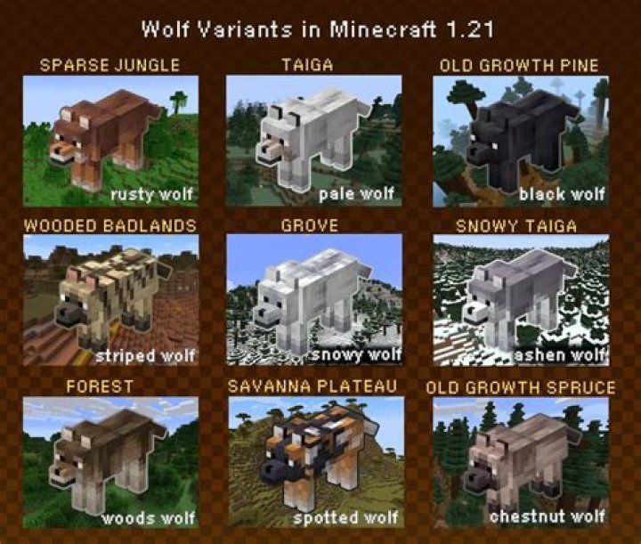 How to find a wolf in minecraft