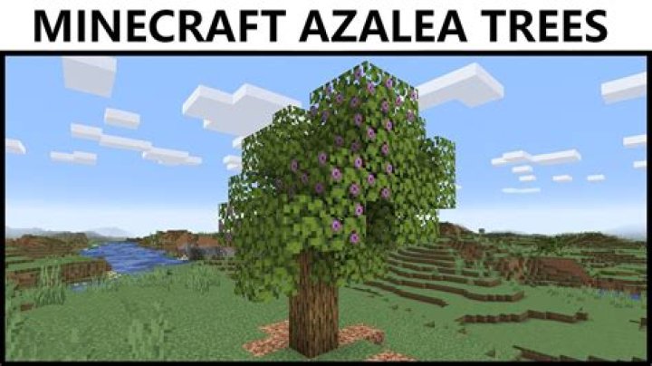 How to find azalea trees in minecraft